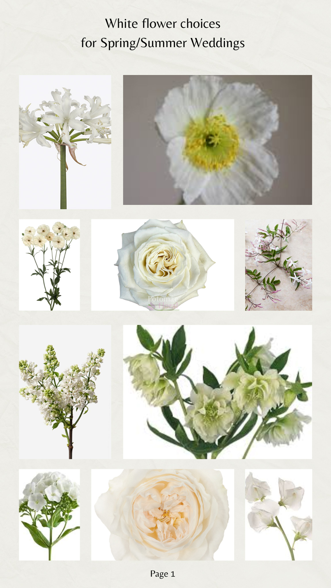 White flower lists for spring and summer white wedding bouquets